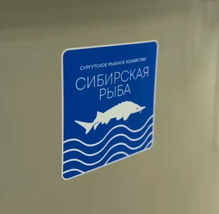 Осетрина стерлядь